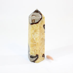  Septarian polished crystal generator  | ASH&STONE Crystals Shop Auckland NZ
