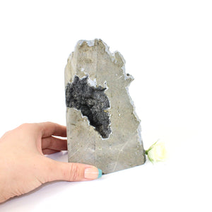 Large black amethyst crystal with cut base | ASH&STONE Crystals NZ