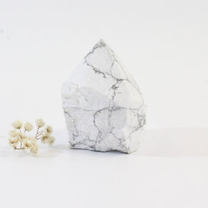 Howlite crystal point | ASH&STONE Crystals Shop Auckland NZ
