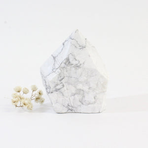 Howlite crystal point | ASH&STONE Crystals Shop Auckland NZ