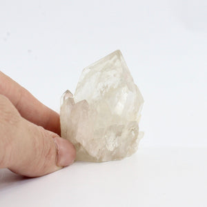 Kundalini Natural Citrine Crystal Clustered Point - rare | ASH&STONE Crystals Shop Auckland NZ
