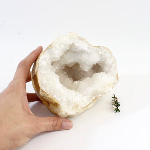 Large clear quartz crystal geode half 1.6kg | ASH&STONE Crystals Shop Auckland NZ