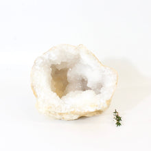 Load image into Gallery viewer, Large clear quartz crystal geode half 1.6kg | ASH&amp;STONE Crystals Shop Auckland NZ
