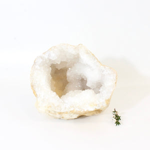 Large clear quartz crystal geode half 1.6kg | ASH&STONE Crystals Shop Auckland NZ