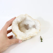 Load image into Gallery viewer, Large clear quartz crystal geode half 1.6kg | ASH&amp;STONE Crystals Shop Auckland NZ
