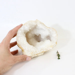 Large clear quartz crystal geode half 1.6kg | ASH&STONE Crystals Shop Auckland NZ