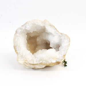 Large clear quartz crystal geode half 1.6kg | ASH&STONE Crystals Shop Auckland NZ