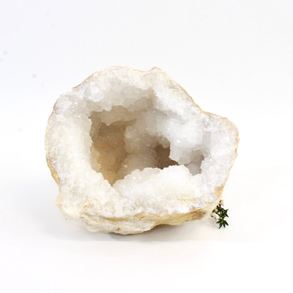 Large clear quartz crystal geode half 1.6kg | ASH&STONE Crystals Shop Auckland NZ