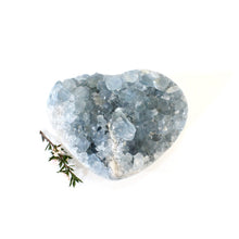 Load image into Gallery viewer, Celestite crystal heart | ASH&amp;STONE Crystals Shop Auckland NZ
