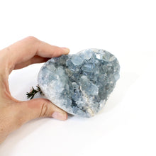 Load image into Gallery viewer, Celestite crystal heart | ASH&amp;STONE Crystals Shop Auckland NZ
