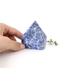 Load image into Gallery viewer, Sodalite crystal point | ASH&amp;STONE Crystals Shop Auckland NZ
