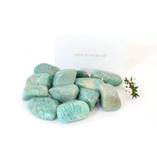 Load image into Gallery viewer, Amazonite crystal tumblestone | ASH&amp;STONE Crystals Shop Auckland NZ
