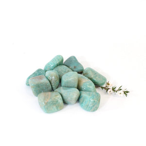Amazonite crystal tumblestone | ASH&STONE Crystals Shop Auckland NZ