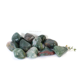 Bloodstone crystal tumblestone | ASH&STONE Crystals Shop Auckland NZ