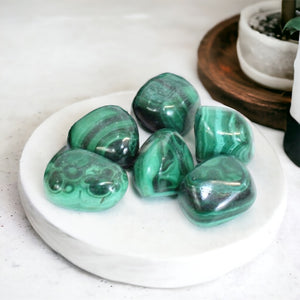 Malachite Crystal Tumblestone | ASH&STONE Crystals