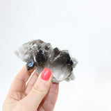 Smoky Quartz Cluster Crystal | ASH 
& STONE, Buy Crystals online, free express shipping,  NZ