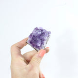 Amethyst crystal cluster - Small