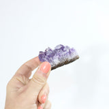Amethyst crystal cluster - Small