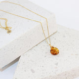 Amber Gold Necklace | ASH & STONE premium crystal jewellery. Free express shipping NZ