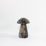 Ocean Jasper Mushroom \ ASH & STONE Premium online crystals. Free express shipping NZ 