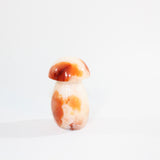 Carnelian Mushroom | ASH & STONE Premium onine crystals. free express shipping NZ