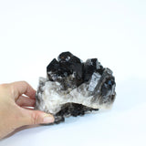 Smoky Quartz Cluster | ASH & STONE Premium online crystals. Free express shipping NZ