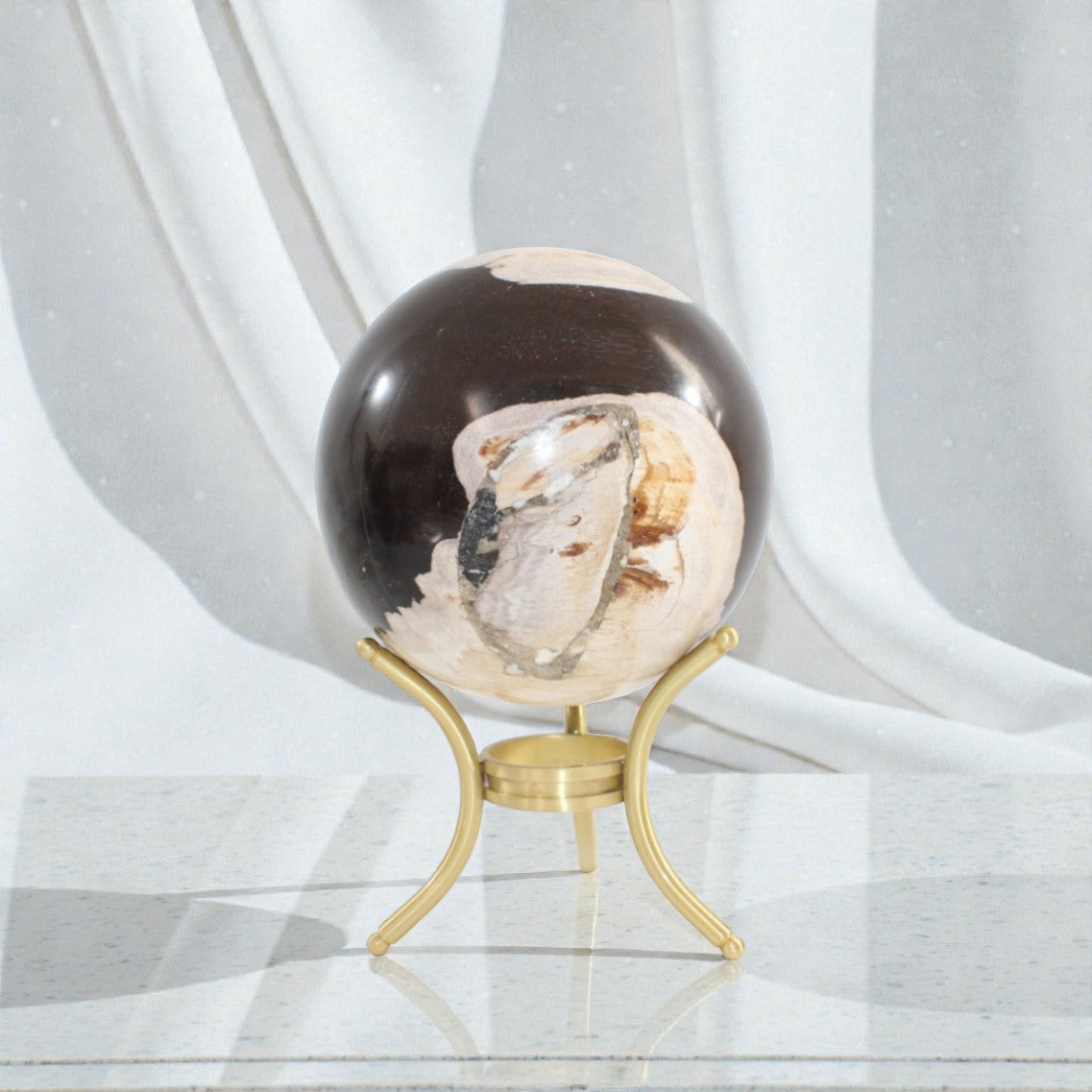 Petrified Wood Sphere with Stand | aSH & STONE. Premium crystals online. Free express shipping NZ