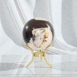 Petrified Wood Sphere with Stand | aSH & STONE. Premium crystals online. Free express shipping NZ