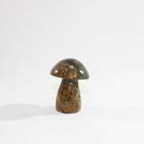 Ocean Jasper Mushroom | ASH & STONE. Premium online crystals Free express shipping NZ