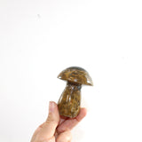 Ocean Jasper Mushroom | ASH & STONE. Premium online crystals Free express shipping NZ