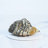 Ocean Jasper Slice | ASH & STONE Premium online Crystals. Free express shipping NZ