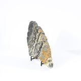 Ocean Jasper Slice | ASH & STONE Premium online Crystals. Free express shipping NZ