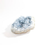 Celestite Crystal Cluster 3kgs | ASH&STONE premium online crystals. Free express shipping NZ. 