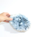 Celestite Crystal Cluster 3kgs | ASH&STONE premium online crystals. Free express shipping NZ. 