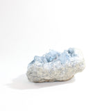 Celestite Crystal Cluster 3kgs | ASH&STONE premium online crystals. Free express shipping NZ. 