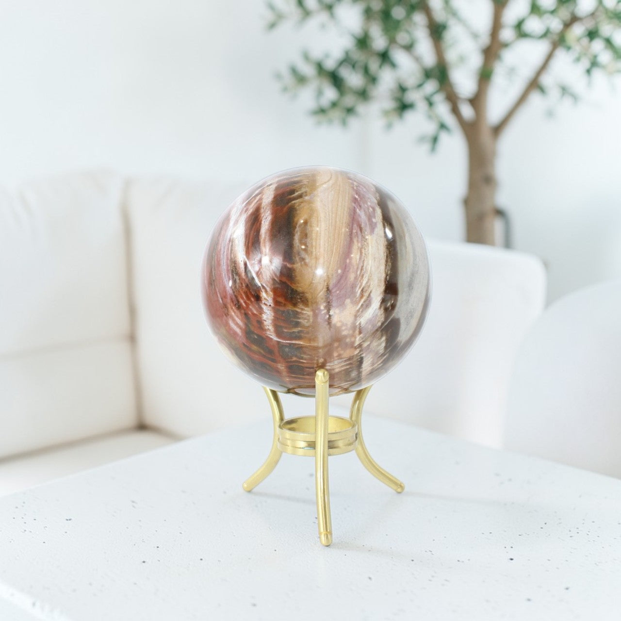 Petrified Wood Sphere | ASH & STONE Premium online crystals. Free express shipping NZ.