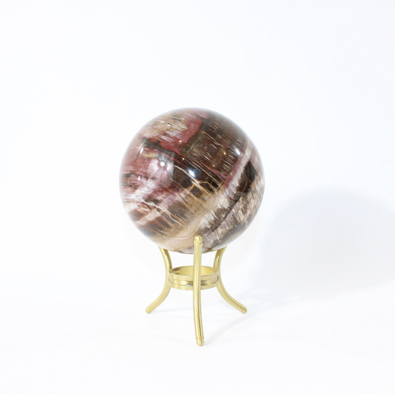 Petrified Wood Sphere | ASH & STONE Premium online crystals. Free express shipping NZ.
