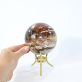 Petrified Wood Sphere | ASH & STONE Premium online crystals. Free express shipping NZ.