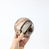 Petrified Wood Sphere | ASH & STONE Premium online crystals. Free express shipping NZ.
