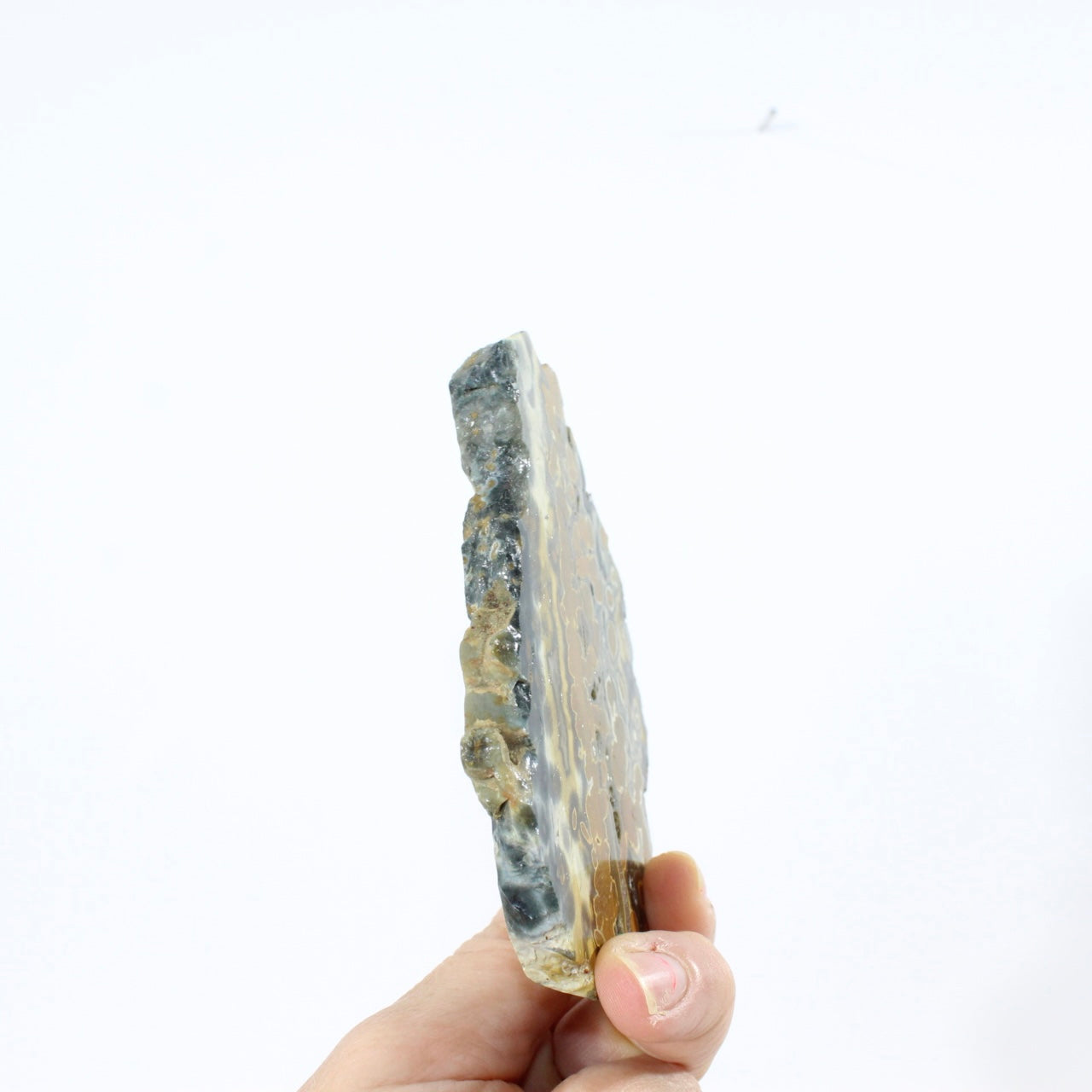 Ocean Jasper Slice Small | ASH&STONE premium online crystals. Free express Shipping NZ