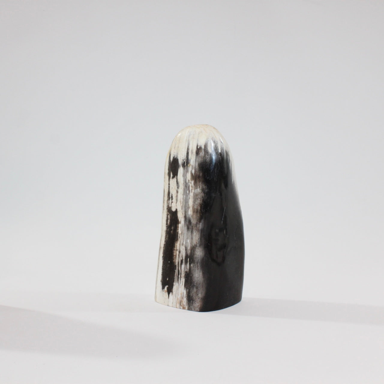 Petrified Wood Freeform | ASH & STONE. Premium online crystals. Free express shipping NZ.