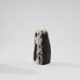 Petrified Wood Freeform | ASH & STONE. Premium online crystals. Free express shipping NZ.