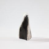 Petrified Wood Freeform | ASH & STONE. Premium online crystals. Free express shipping NZ.