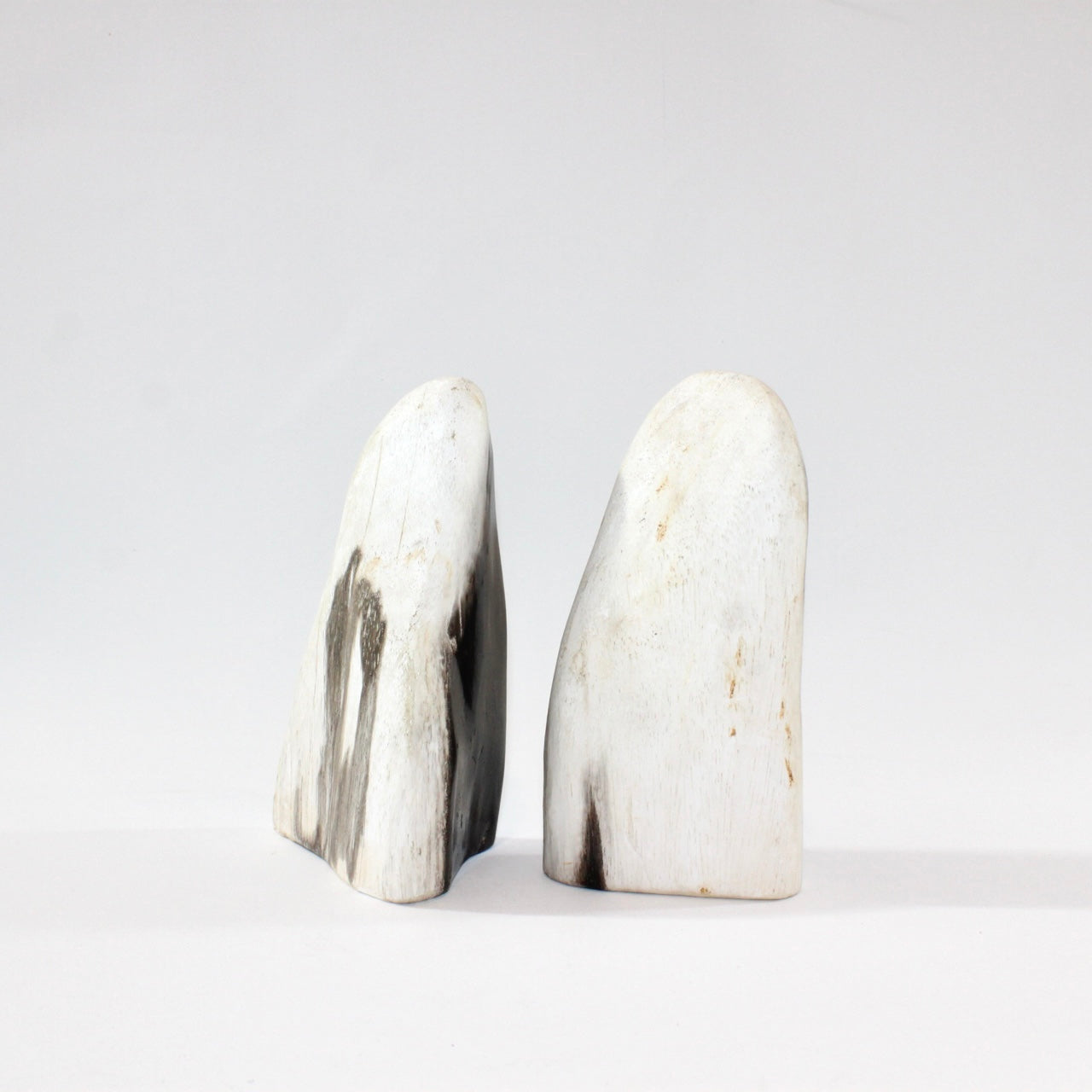 Petrified Wood Freeform | ASH & STONE. Premium online crystals. Free express shipping NZ.