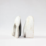 Petrified Wood Freeform | ASH & STONE. Premium online crystals. Free express shipping NZ.