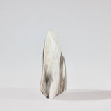 Petrified Wood Freeform | ASH & STONE. Premium online crystals. Free express shipping NZ.