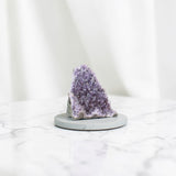 Amethyst Crystal Cluster | ASH & STONE. Premium online crystals. Free express shipping NZ