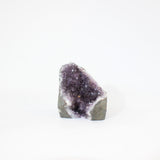 Amethyst Crystal Cluster | ASH & STONE. premium online crystals. Free shipping NZ.  