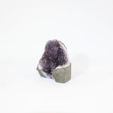 Amethyst Crystal Cluster | ASH & STONE. premium online crystals. Free shipping NZ.  