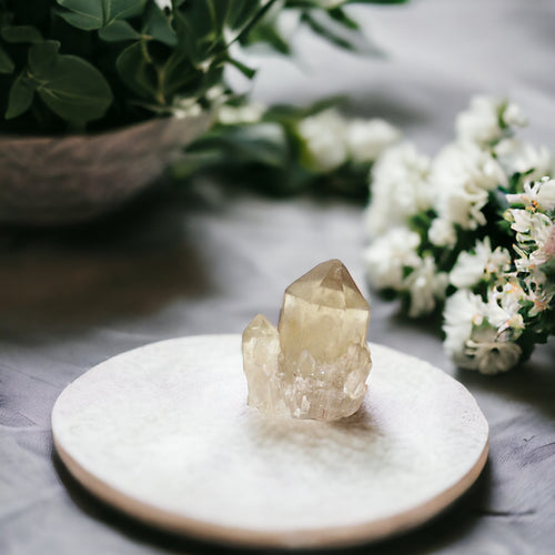 Kundalini natural citrine crystal cluster - extremely rare | ASH&STONE Crystals Shop Auckland NZ